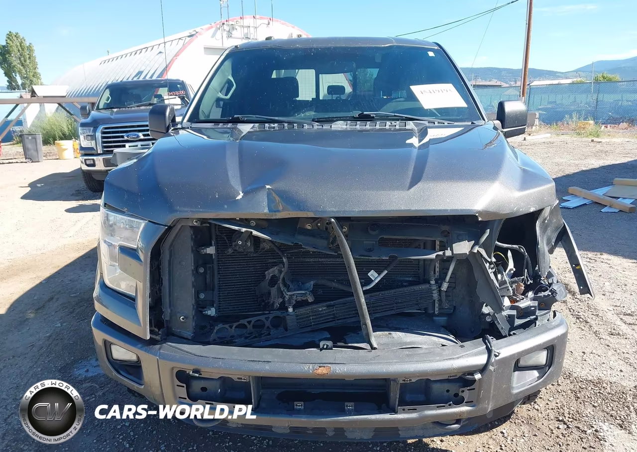 2016 Ford F-150 Xlt VIN:1FTEW1EPXGKD96310 - 13