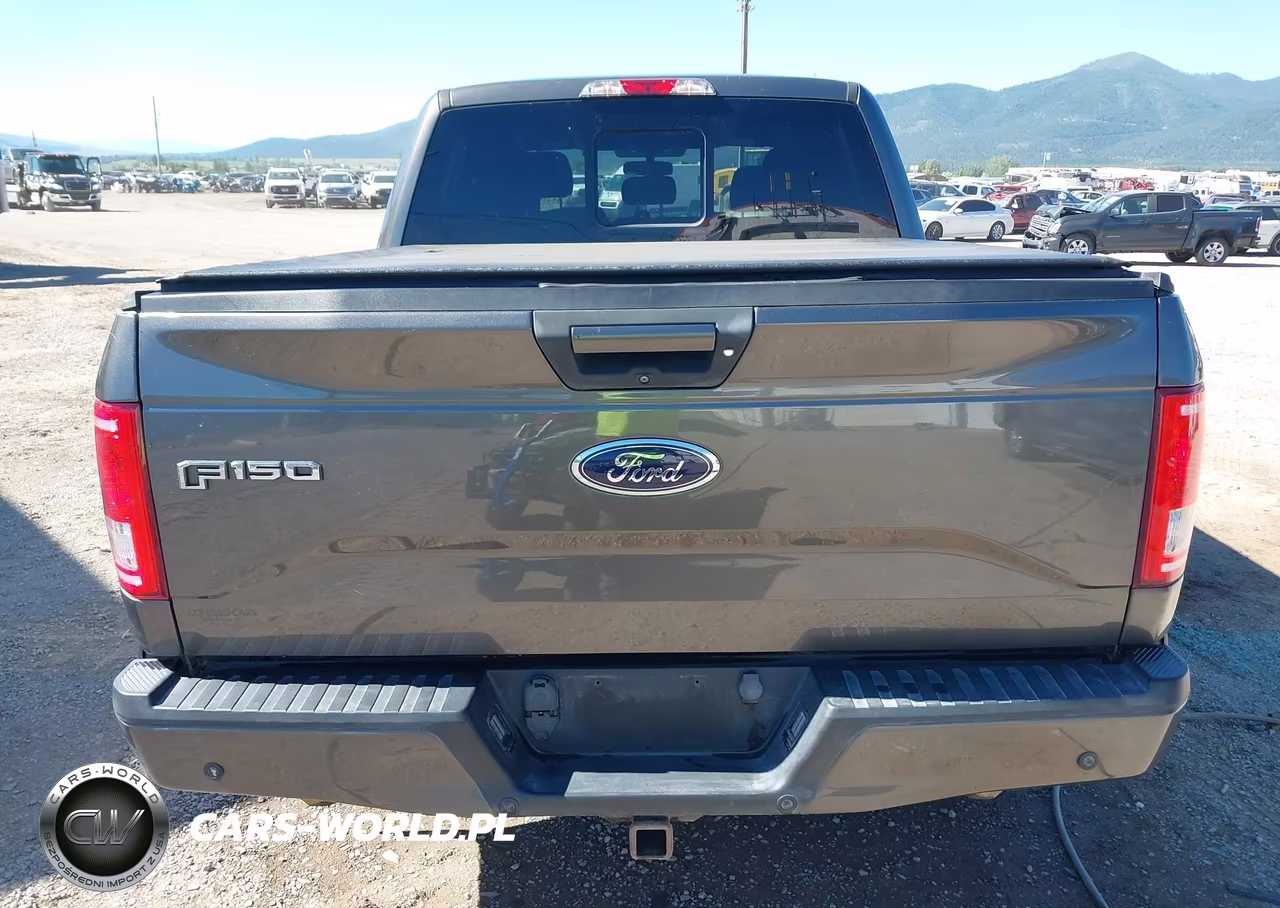 2016 Ford F-150 Xlt VIN:1FTEW1EPXGKD96310 - 17