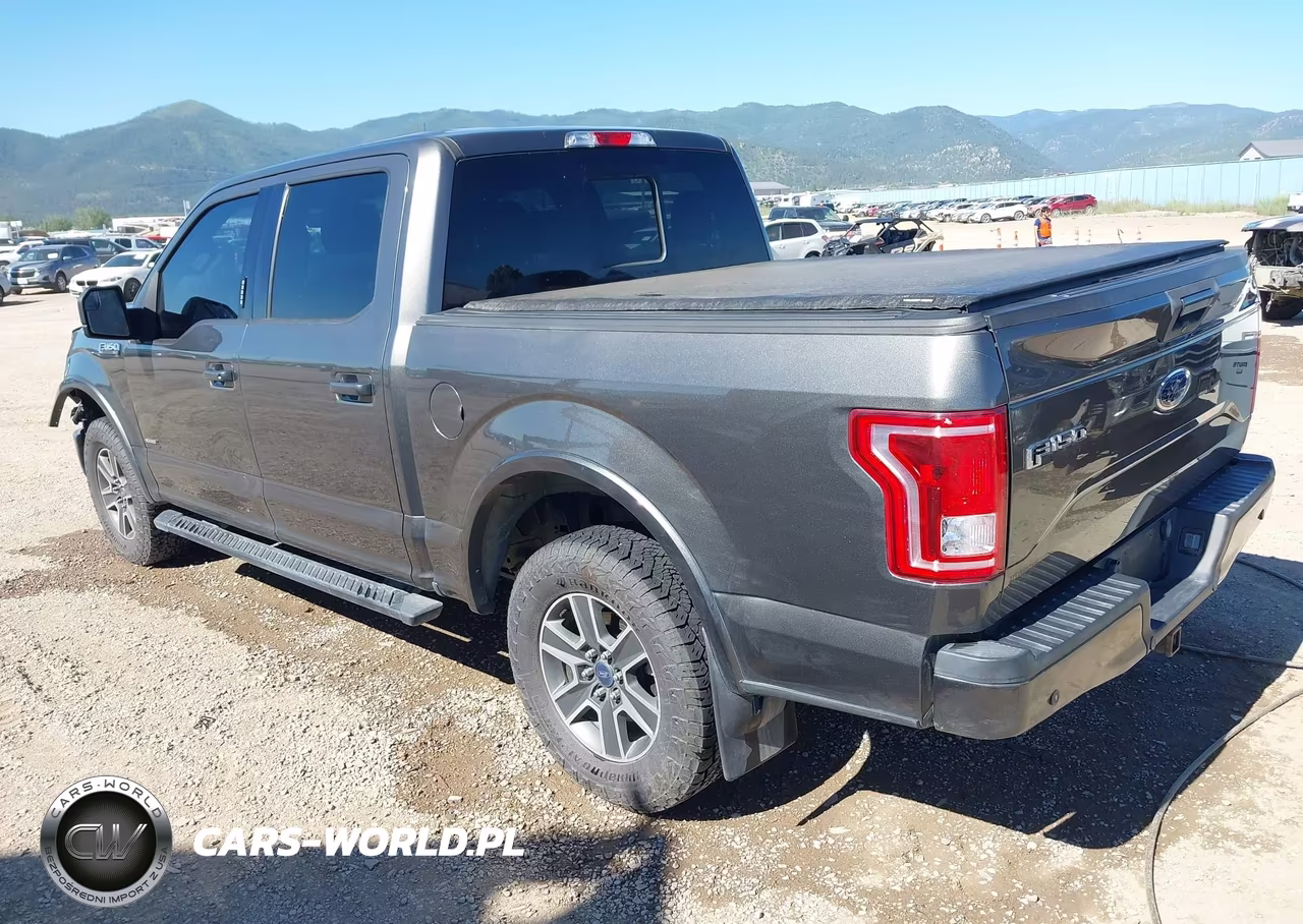 2016 Ford F-150 Xlt VIN:1FTEW1EPXGKD96310 - 3