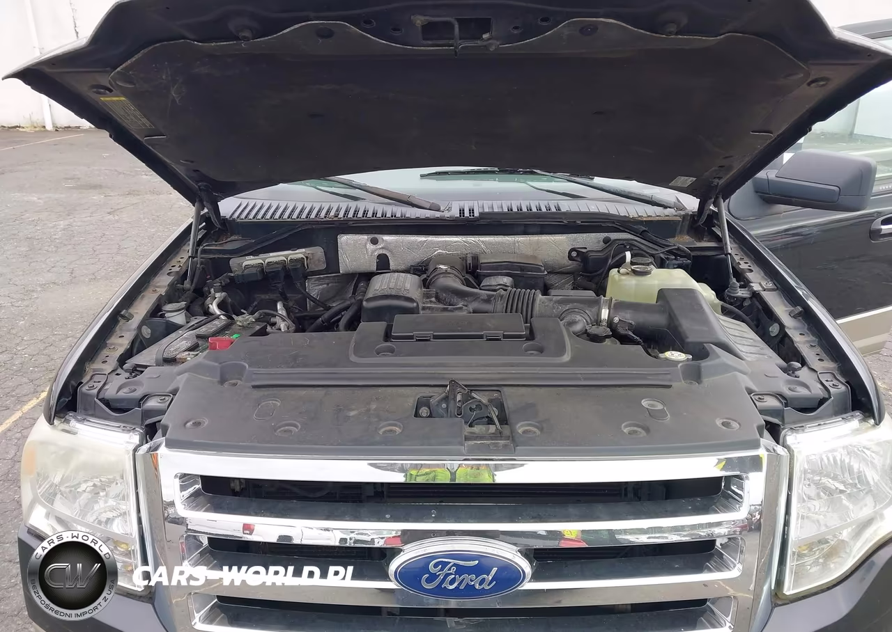 2010 Ford Expedition Eddie Bauer VIN:1FMJU1J58AEB58207 - 10
