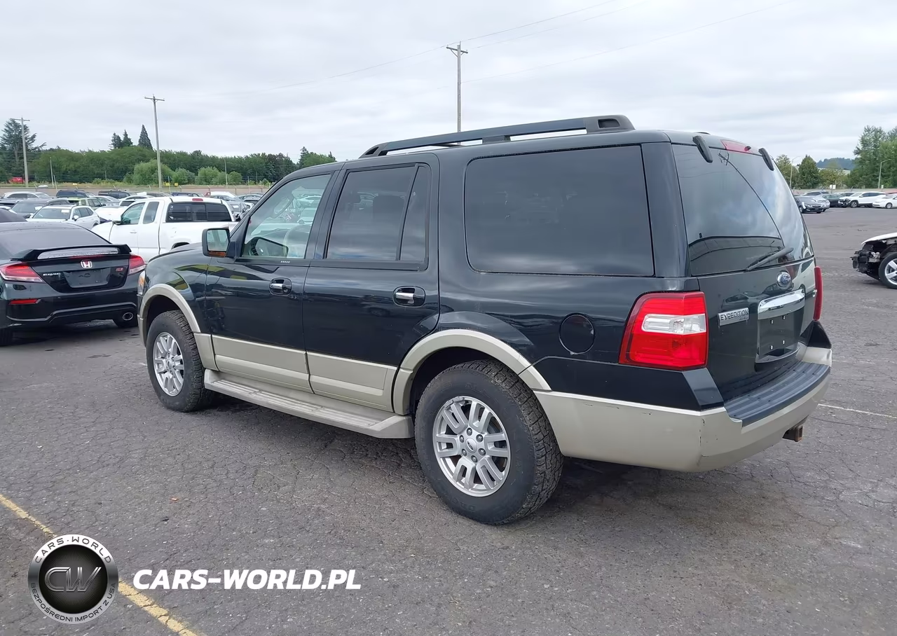 2010 Ford Expedition Eddie Bauer VIN:1FMJU1J58AEB58207 - 3