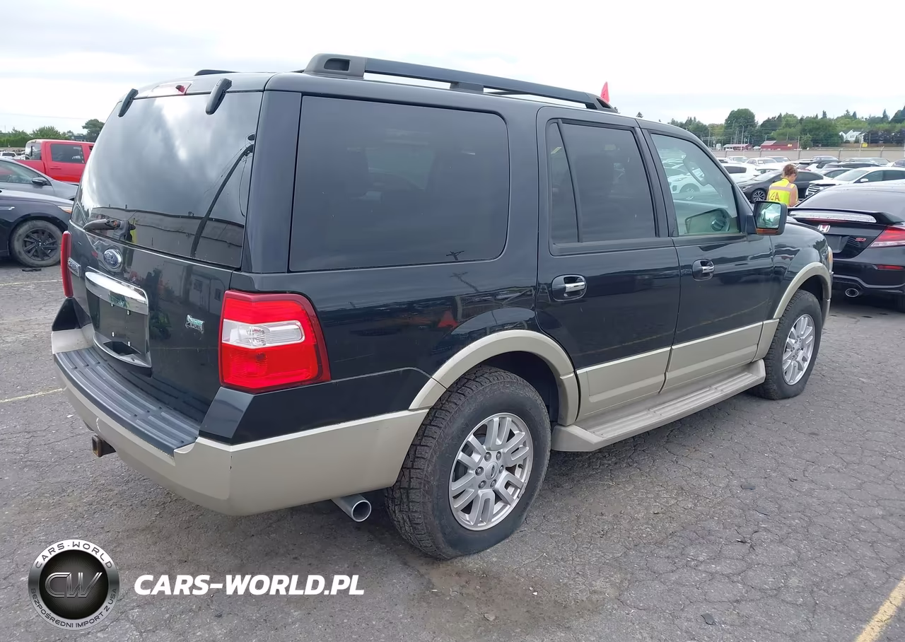 2010 Ford Expedition Eddie Bauer VIN:1FMJU1J58AEB58207 - 4