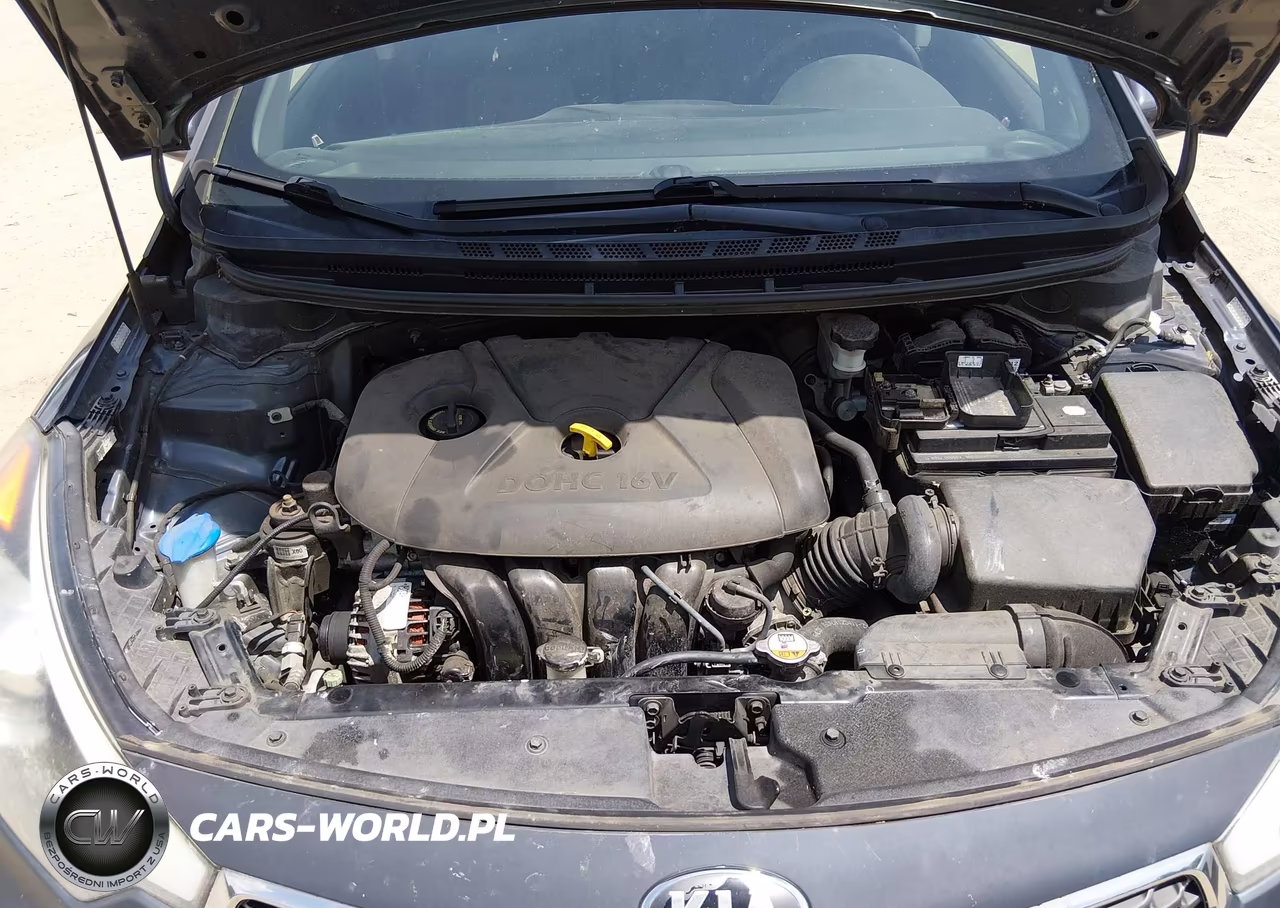 2016 Kia Forte Lx VIN:KNAFX4A63G5507968 - 10
