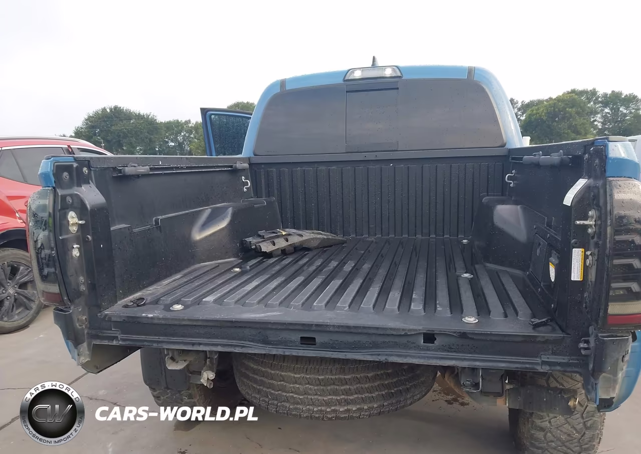 2019 Toyota Tacoma Trd Off Road VIN:5TFAZ5CN4KX073963 - 19