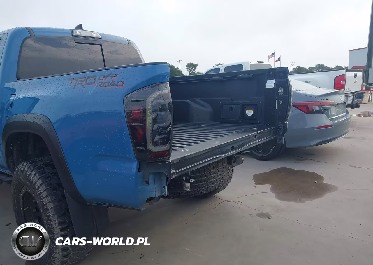 2019 Toyota Tacoma Trd Off Road VIN:5TFAZ5CN4KX073963 - 20