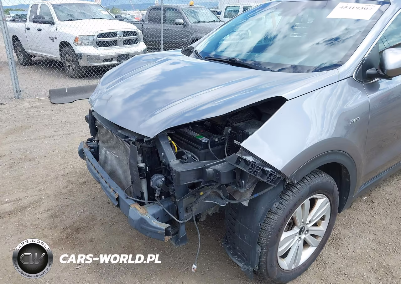 2017 Kia Sportage Lx VIN:KNDPMCAC9H7054980 - 18