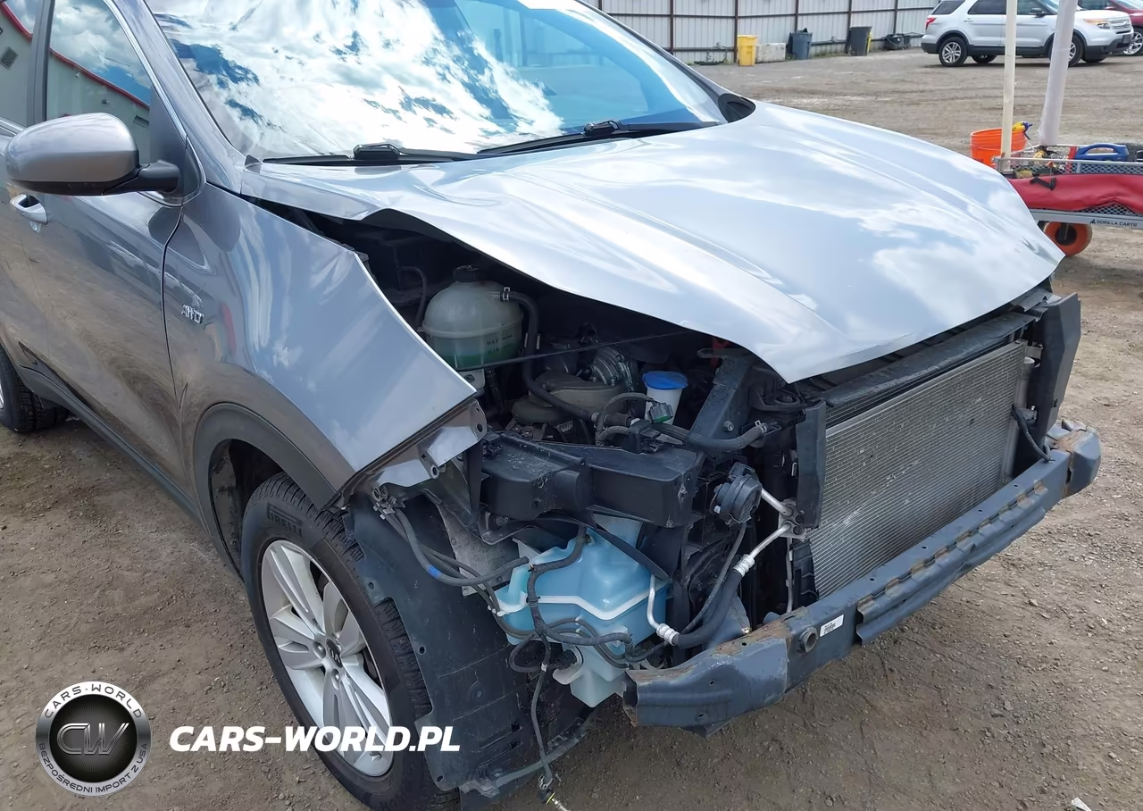 2017 Kia Sportage Lx VIN:KNDPMCAC9H7054980 - 19