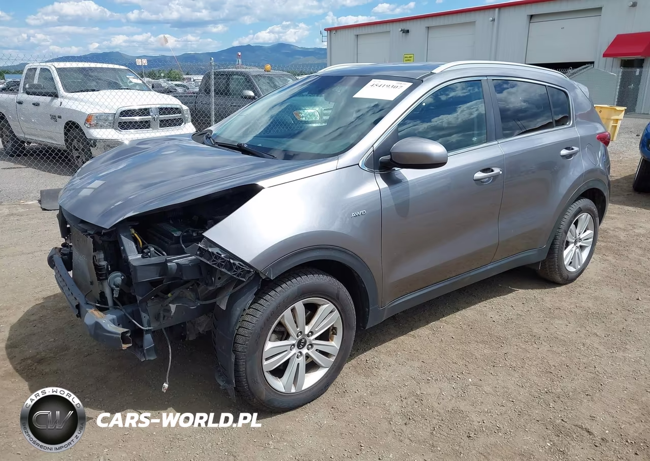 2017 Kia Sportage Lx VIN:KNDPMCAC9H7054980 - 2
