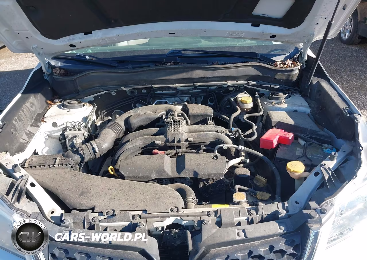 2014 Subaru Forester 2.5I Premium VIN:JF2SJAEC8EH511075 - 10