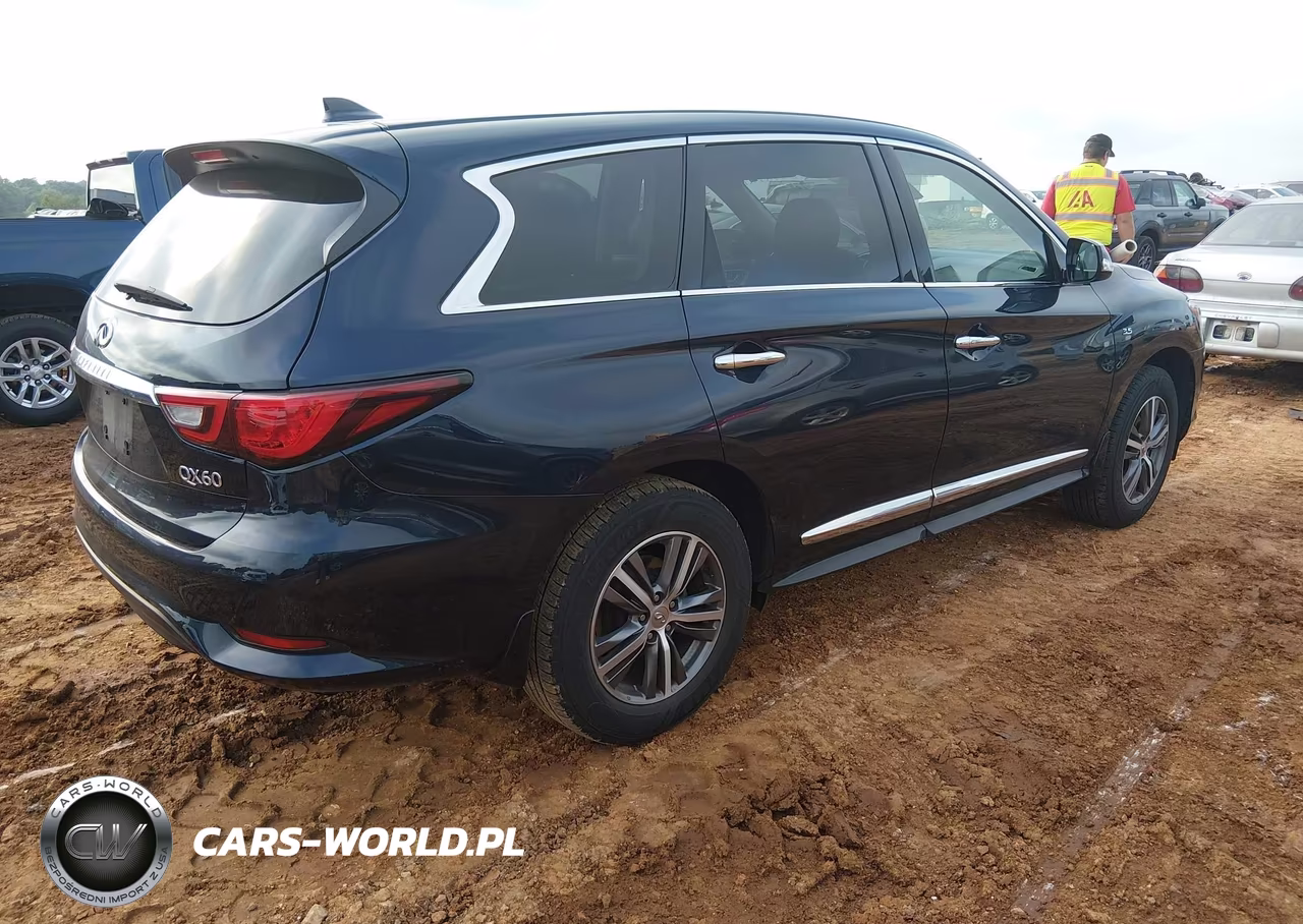 2020 Infiniti Qx60 Pure VIN:5N1DL0MN0LC533771 - 4