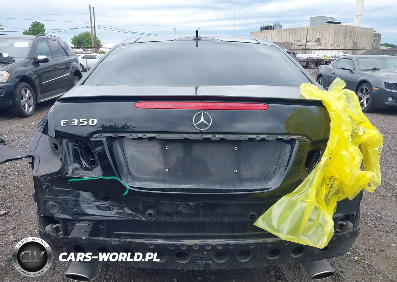 2010 Mercedes-Benz E 350 VIN:WDDKJ5GBXAF059684 - 16