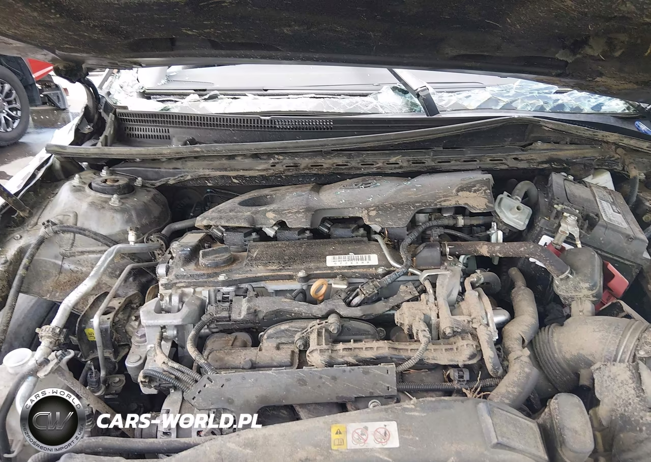 2019 Toyota Camry Se VIN:4T1B11HK3KU803765 - 10