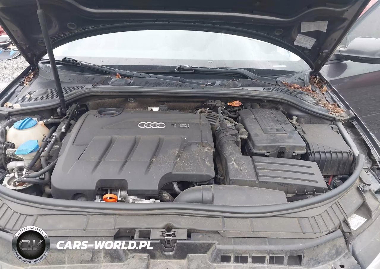 2013 Audi A3 2.0 Tdi Premium VIN:WAUKJAFM7DA033452 - 10