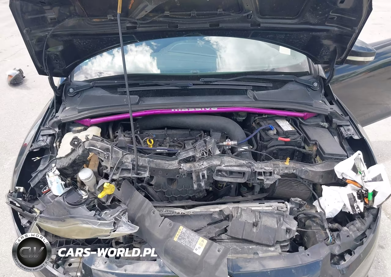 2014 Ford Focus St VIN:1FADP3L90EL286405 - 10
