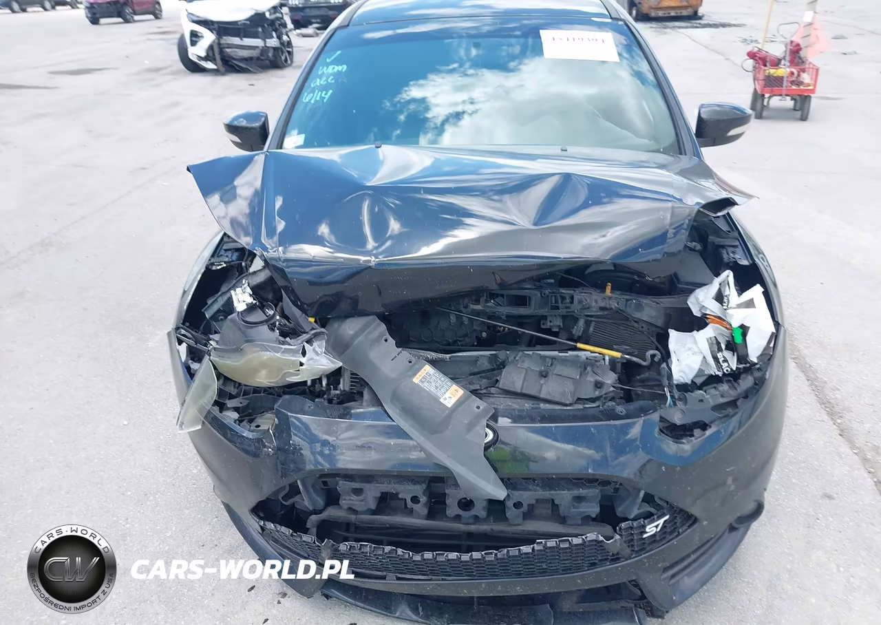 2014 Ford Focus St VIN:1FADP3L90EL286405 - 12
