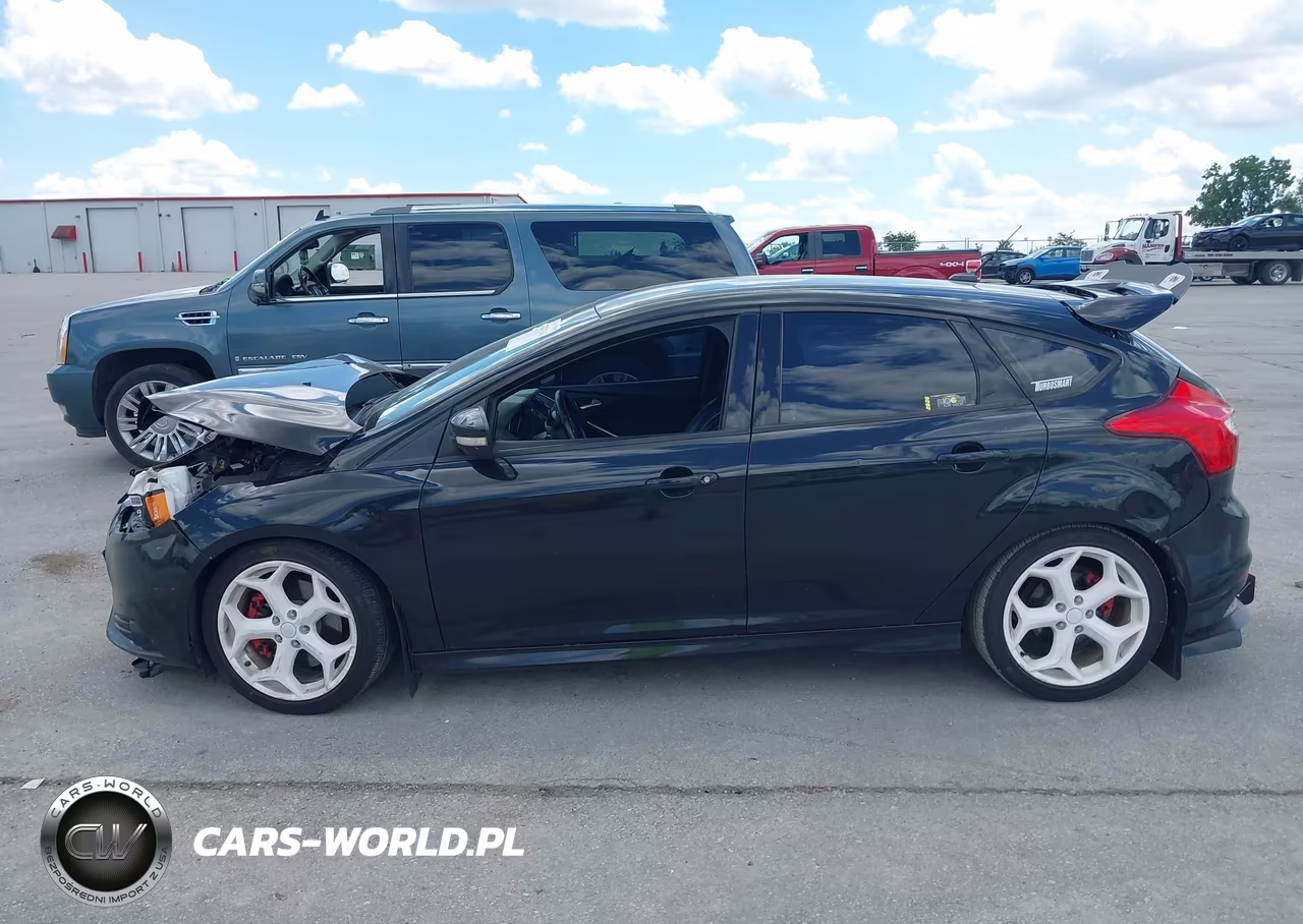 2014 Ford Focus St VIN:1FADP3L90EL286405 - 14