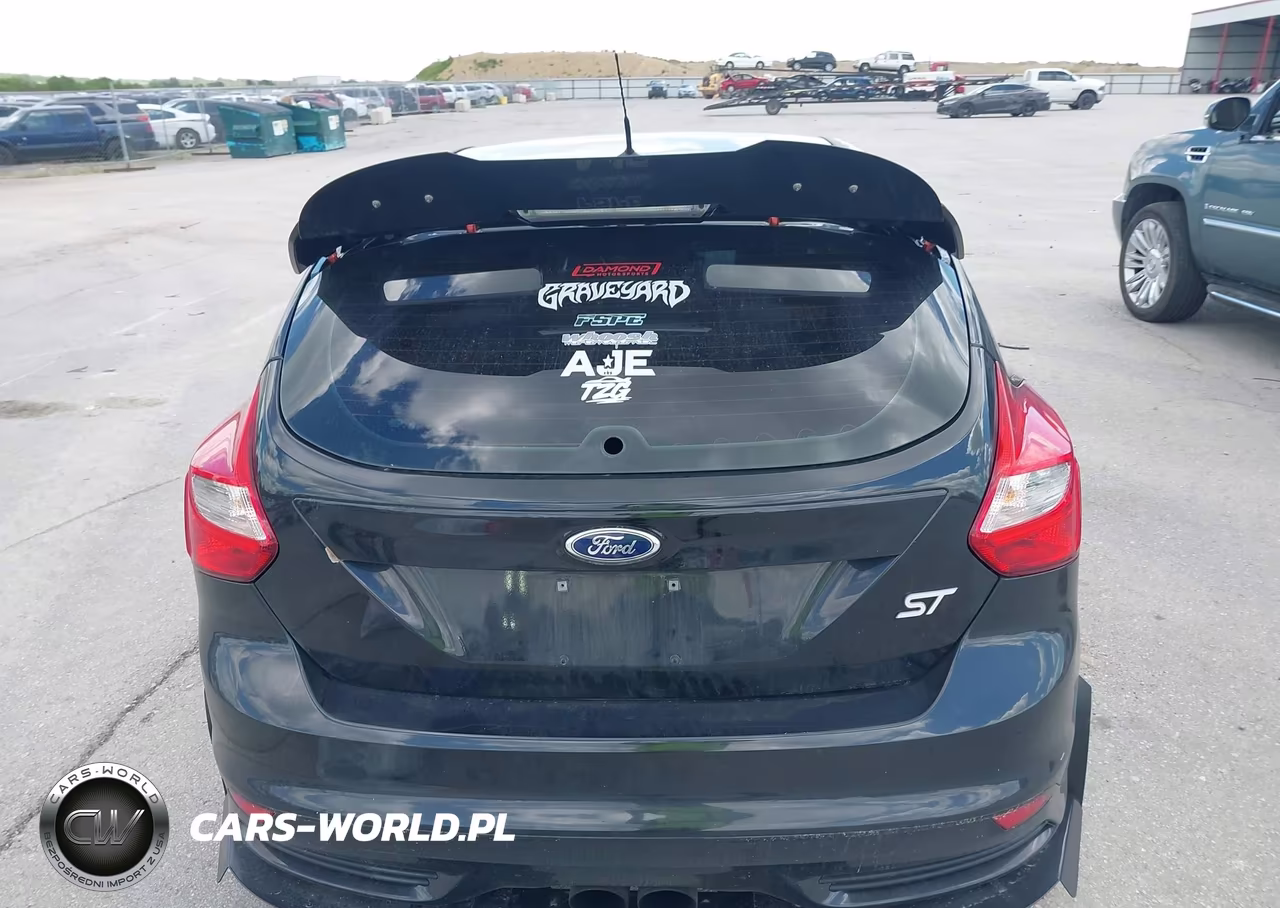 2014 Ford Focus St VIN:1FADP3L90EL286405 - 16