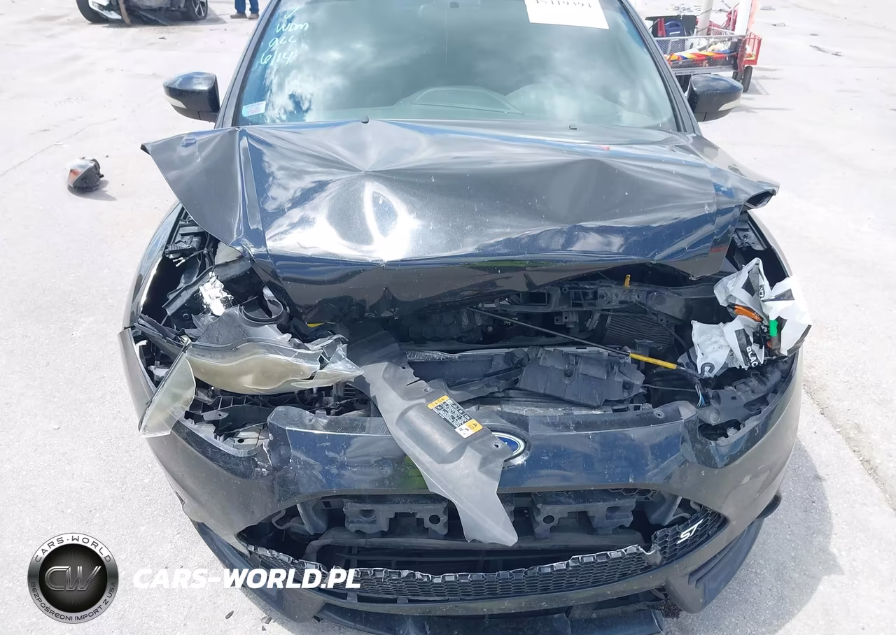 2014 Ford Focus St VIN:1FADP3L90EL286405 - 6