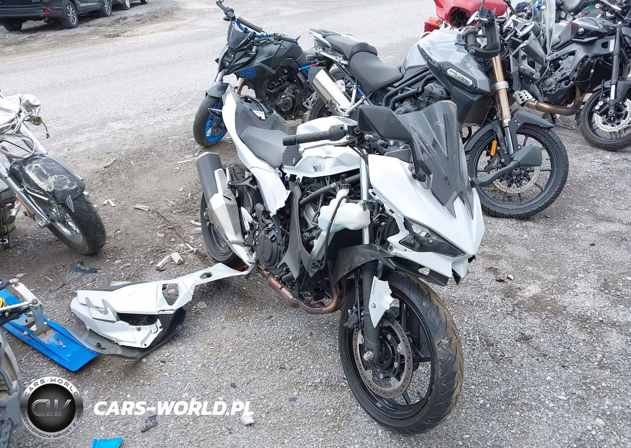 2024 Kawasaki Ex500