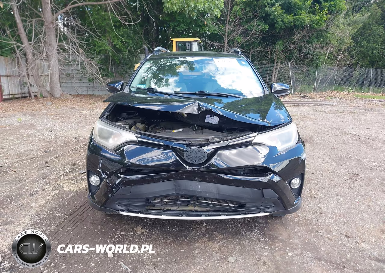 2016 Toyota Rav4 Xle VIN:2T3RFREV3GW462444 - 13