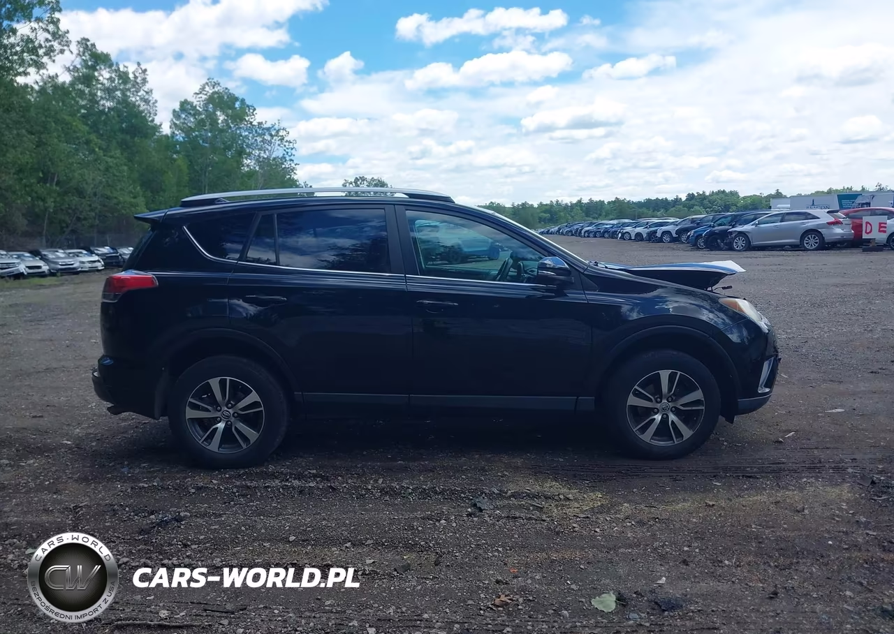 2016 Toyota Rav4 Xle VIN:2T3RFREV3GW462444 - 14