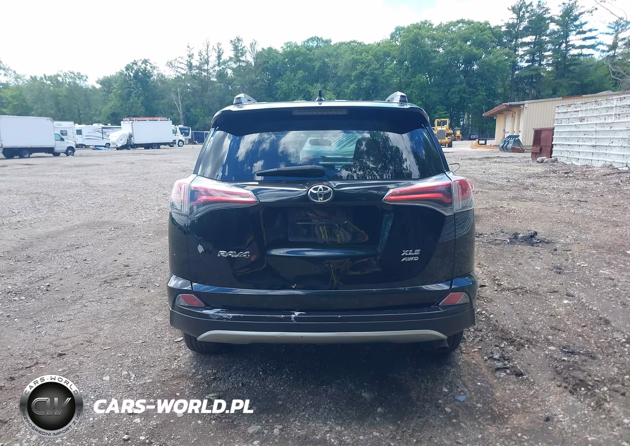 2016 Toyota Rav4 Xle VIN:2T3RFREV3GW462444 - 17