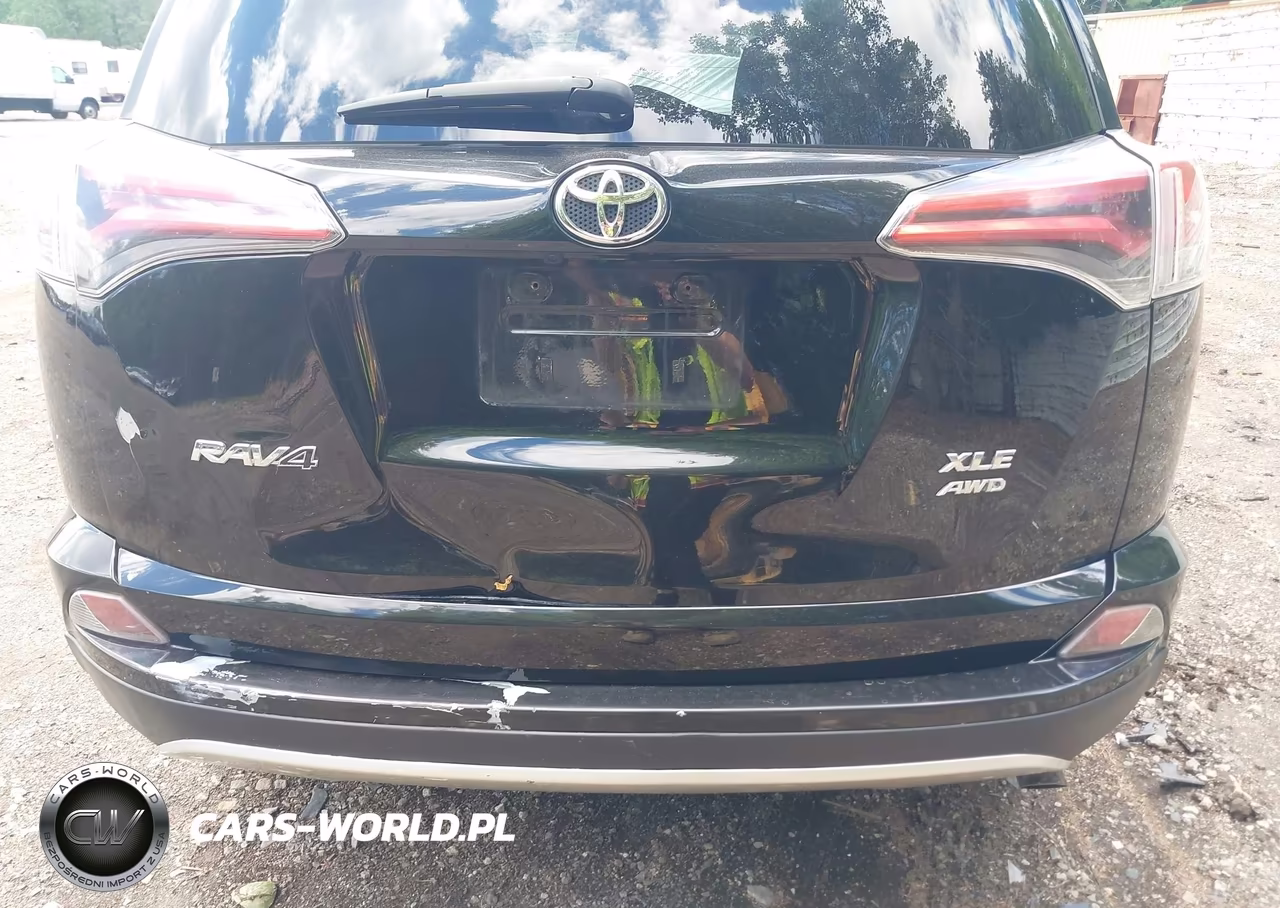 2016 Toyota Rav4 Xle VIN:2T3RFREV3GW462444 - 18