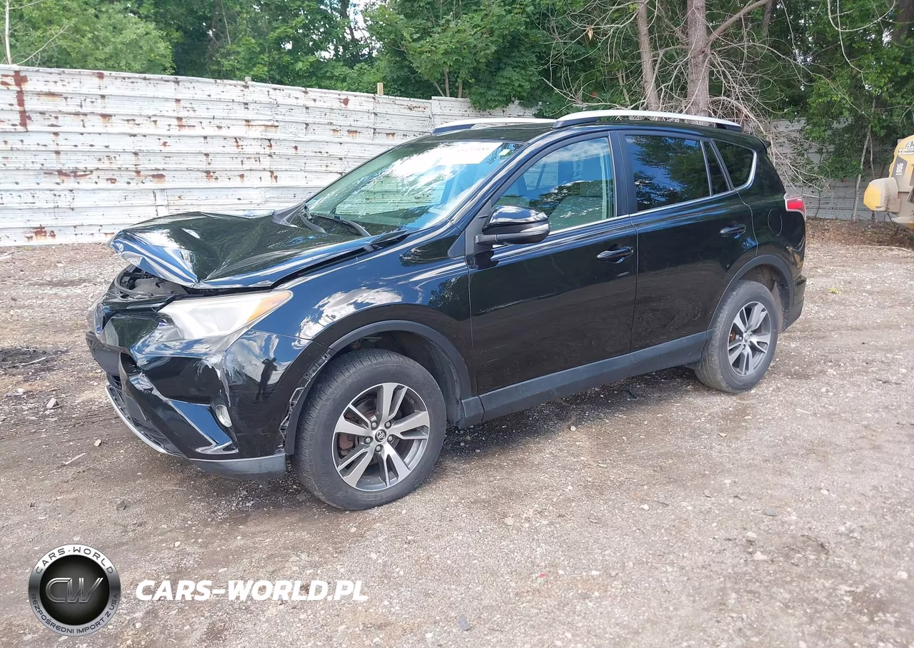 2016 Toyota Rav4 Xle VIN:2T3RFREV3GW462444 - 2