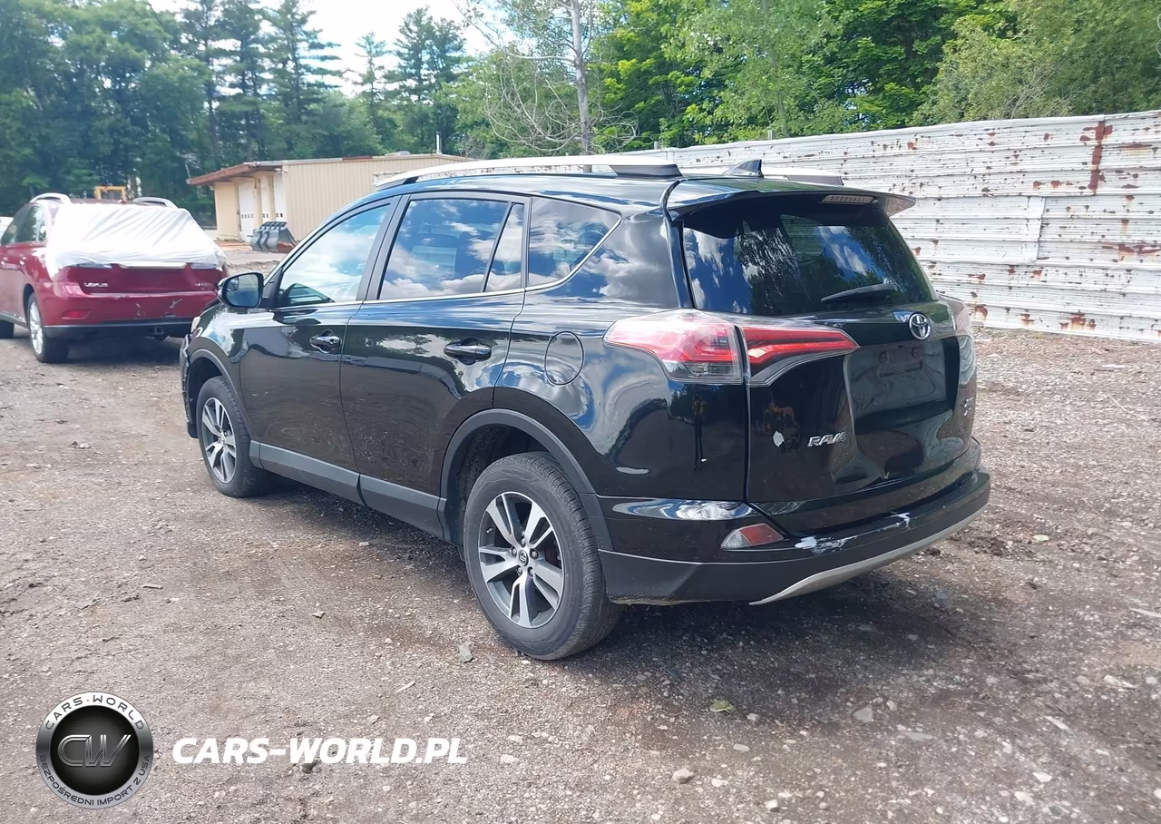 2016 Toyota Rav4 Xle VIN:2T3RFREV3GW462444 - 3