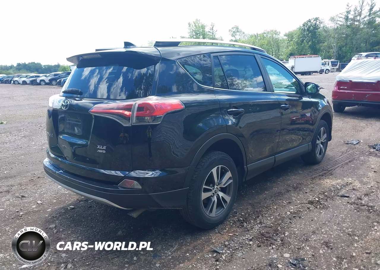 2016 Toyota Rav4 Xle VIN:2T3RFREV3GW462444 - 4
