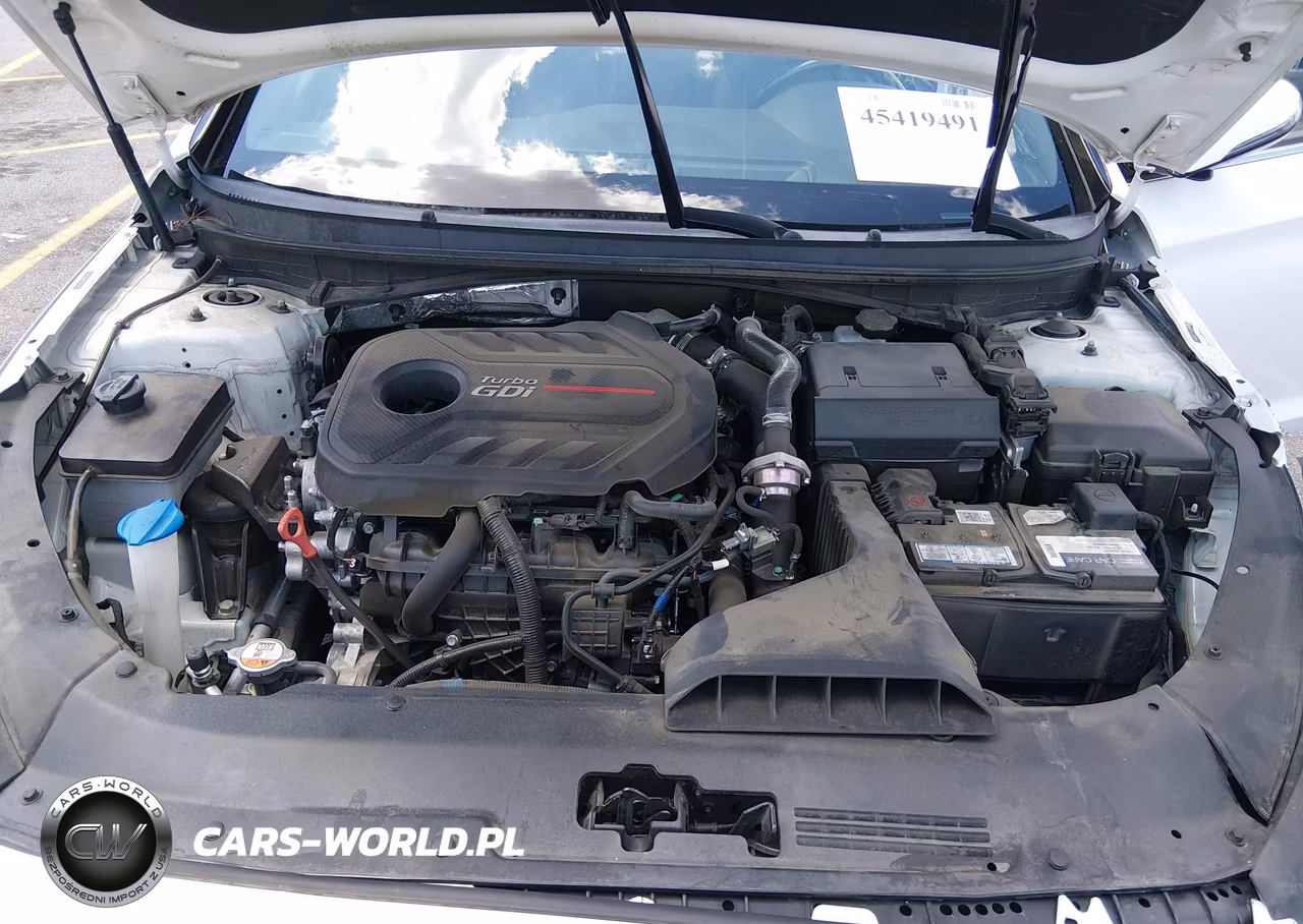 2019 Hyundai Sonata Limited 2.0T VIN:5NPE34AB9KH795785 - 10