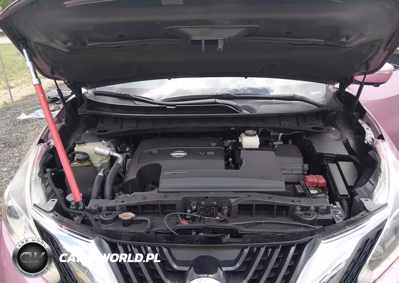 2015 Nissan Murano S VIN:5N1AZ2MGXFN201635 - 10