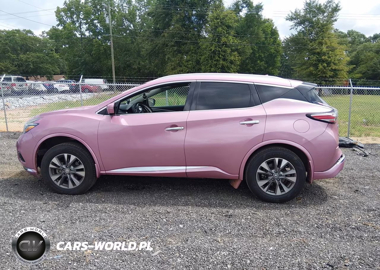 2015 Nissan Murano S VIN:5N1AZ2MGXFN201635 - 15