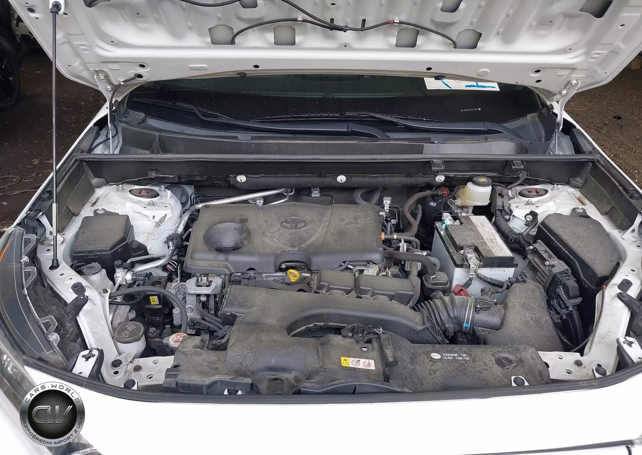 2019 Toyota Rav4 Xle VIN:JTMW1RFV4KJ014379 - 10