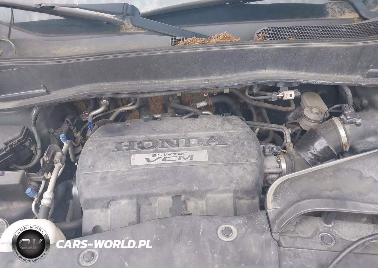 2009 Honda Pilot Ex-L VIN:5FNYF38689B007059 - 10