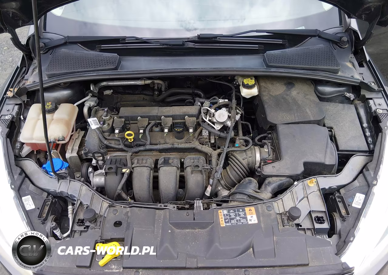 2017 Ford Focus Se VIN:1FADP3F23HL292024 - 10