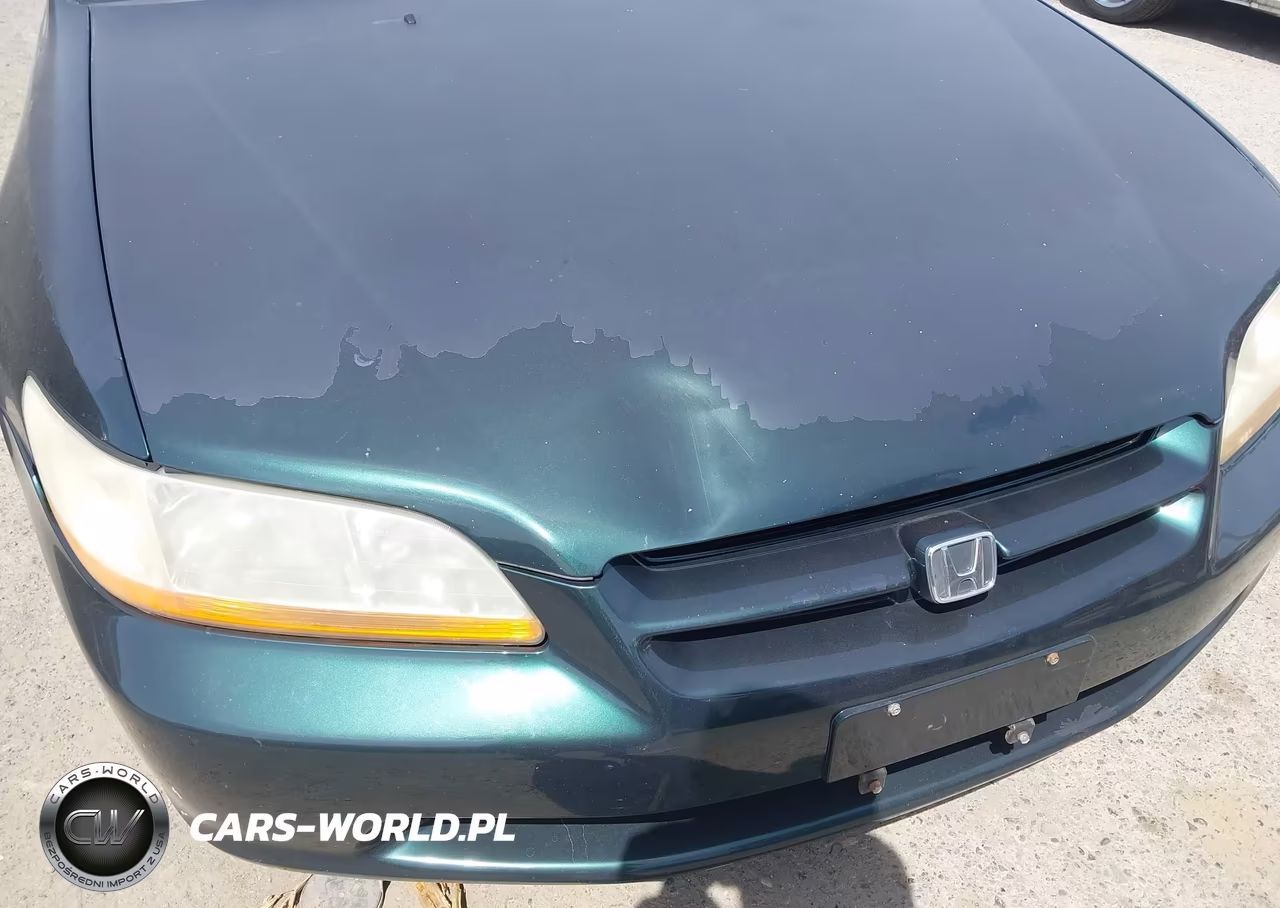 1998 Honda Accord VIN:1HGCG5551WA063204 - 6