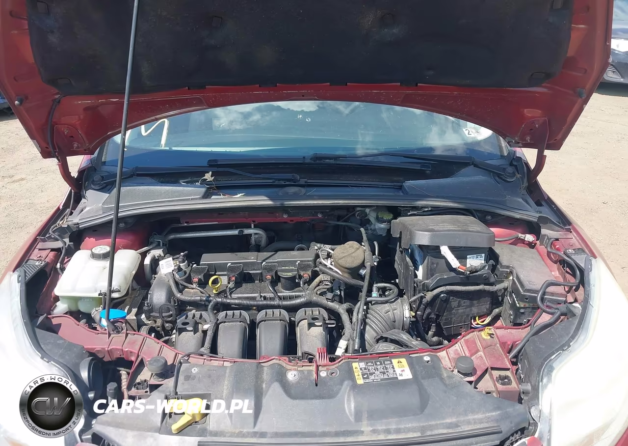 2014 Ford Focus Se VIN:1FADP3F20EL369265 - 10