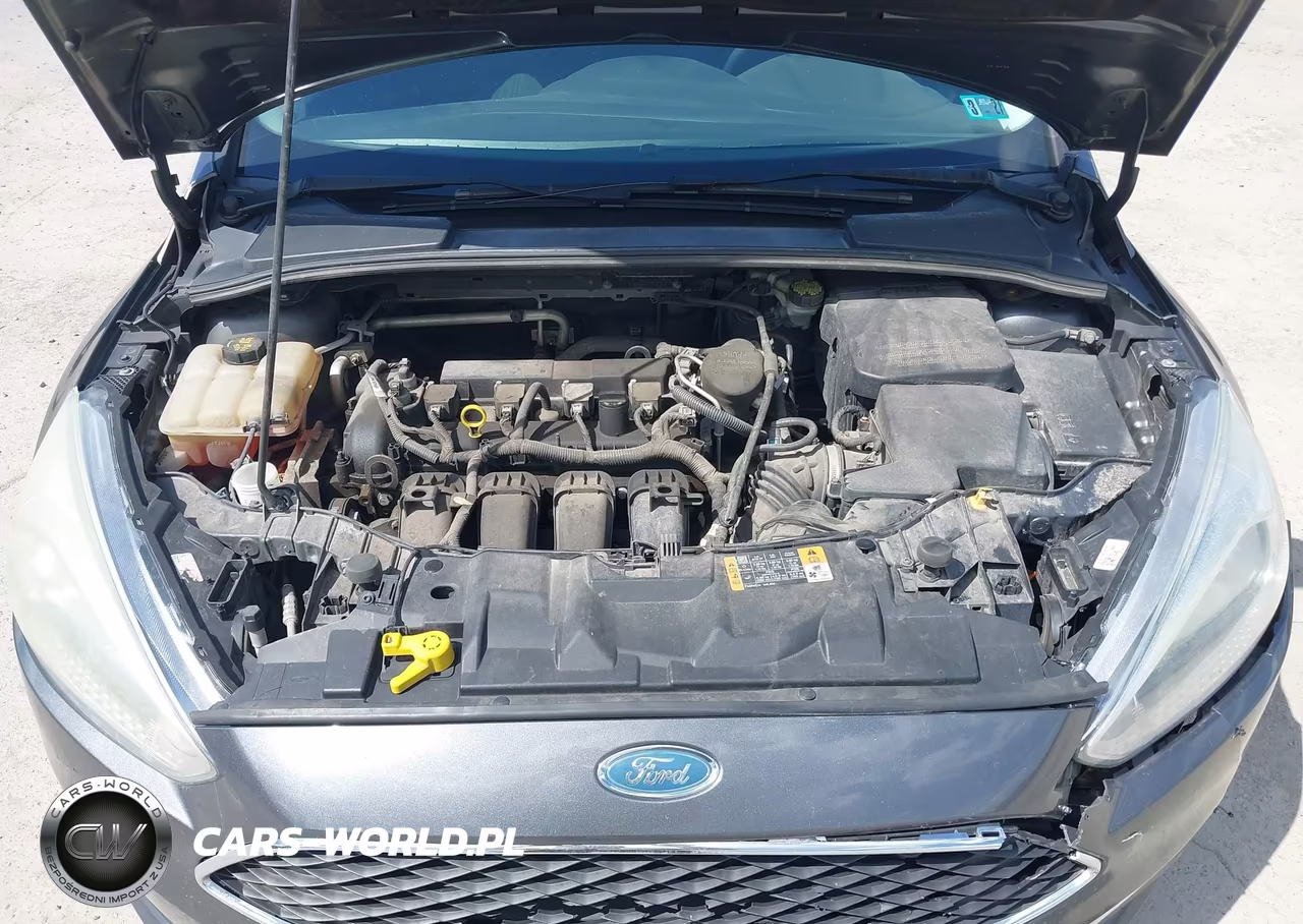 2015 Ford Focus Se VIN:1FADP3F29FL252026 - 10