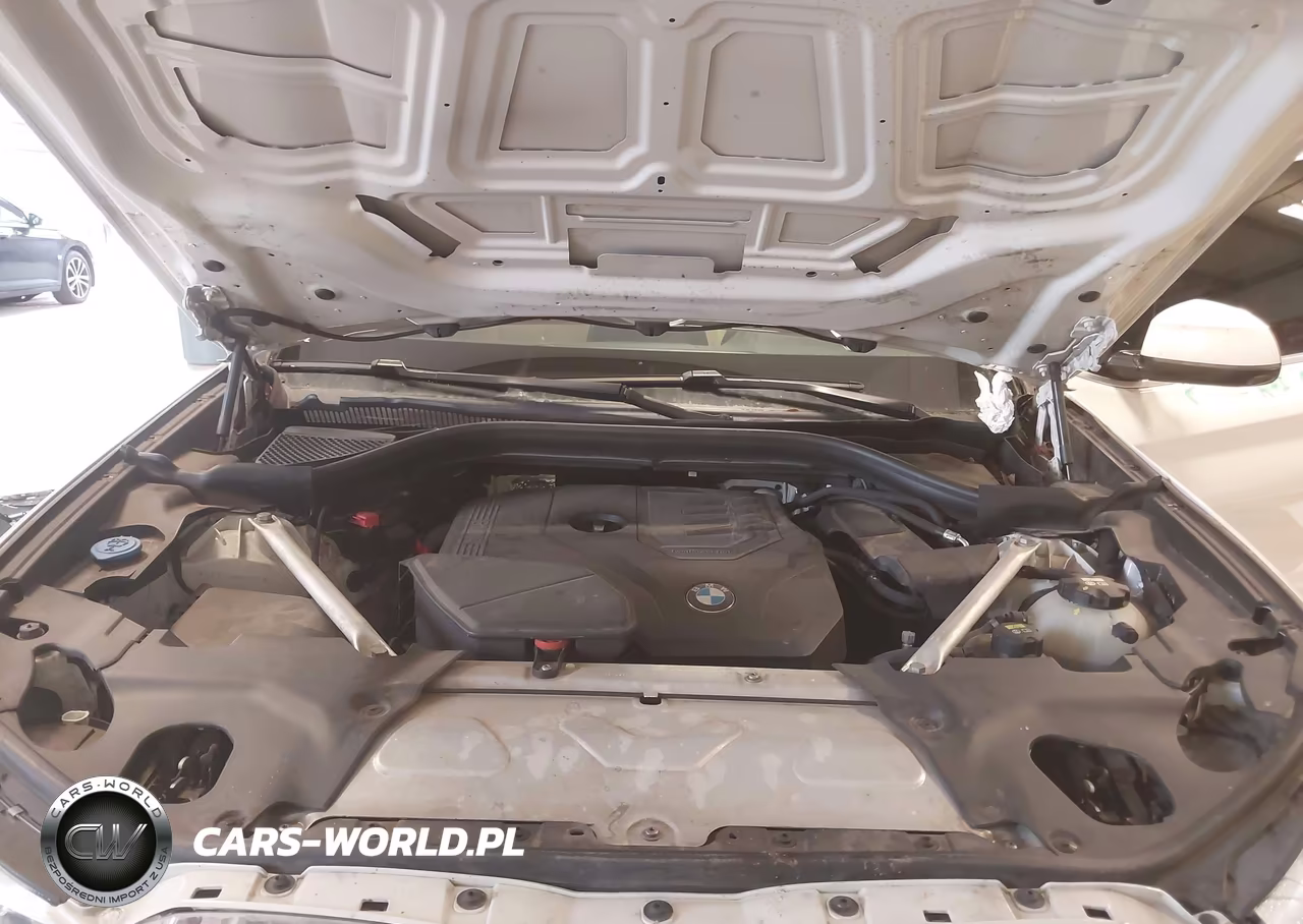 2021 BMW X3 Sdrive30I VIN:5UXTY3C04M9F50291 - 10