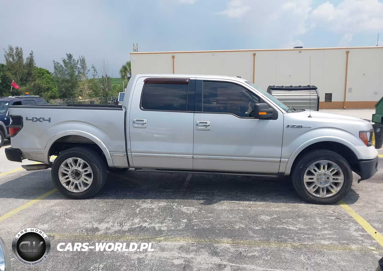2009 Ford F-150 Fx4-King Ranch-Lariat-Platinum-Xl-Xlt VIN:1FTPW14V19FA97972 - 13