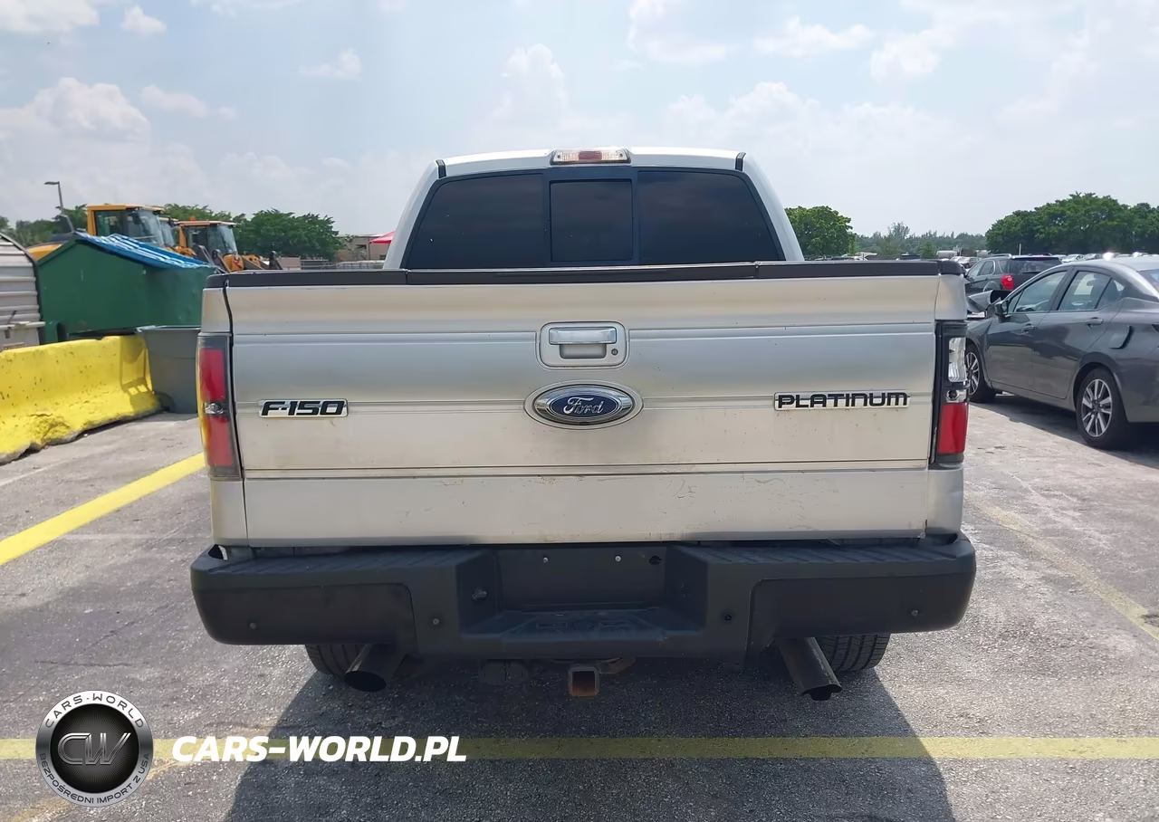 2009 Ford F-150 Fx4-King Ranch-Lariat-Platinum-Xl-Xlt VIN:1FTPW14V19FA97972 - 16