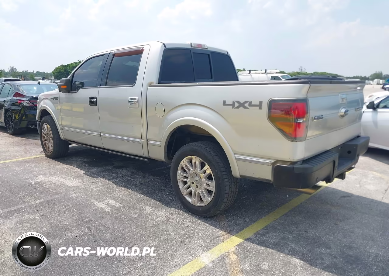 2009 Ford F-150 Fx4-King Ranch-Lariat-Platinum-Xl-Xlt VIN:1FTPW14V19FA97972 - 3