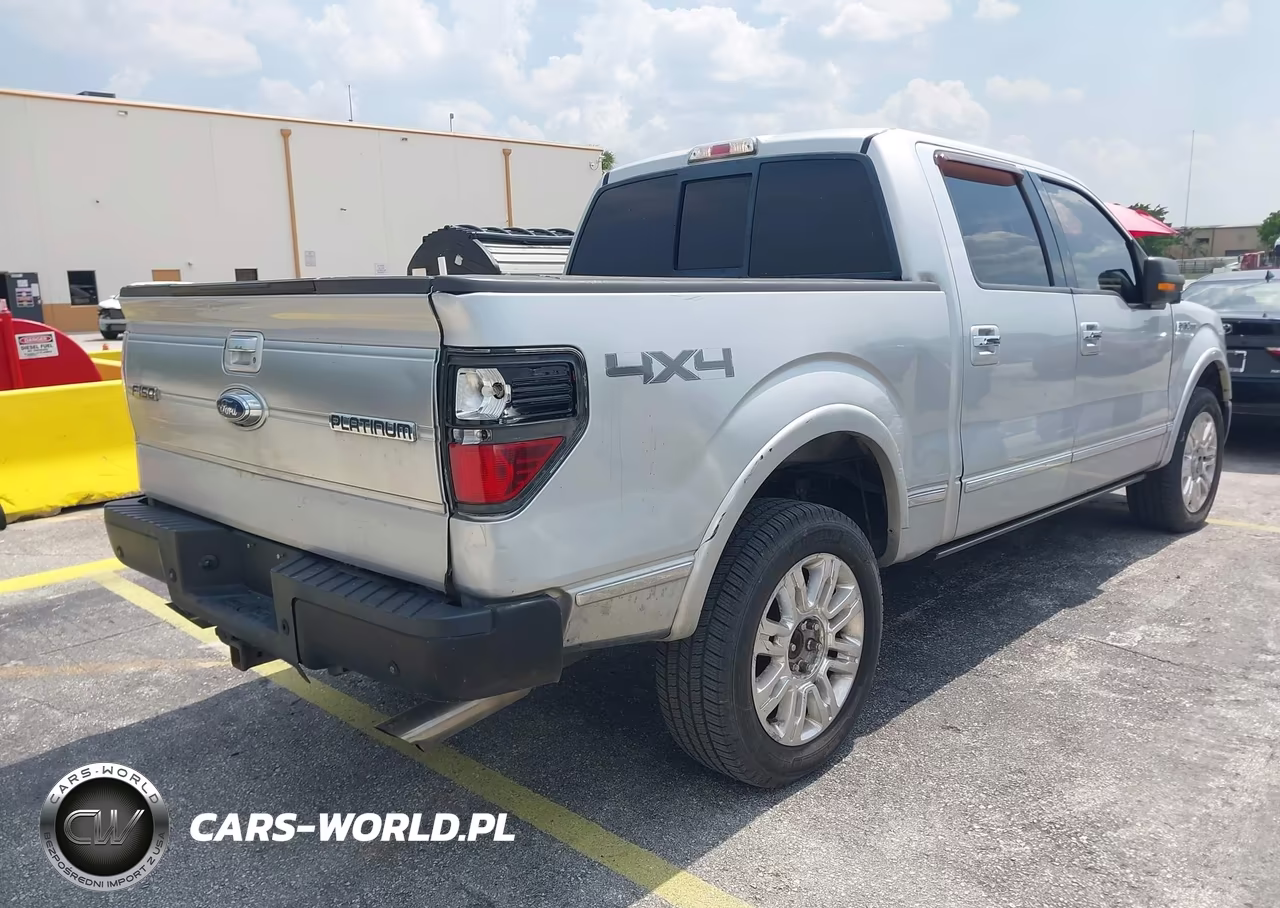 2009 Ford F-150 Fx4-King Ranch-Lariat-Platinum-Xl-Xlt VIN:1FTPW14V19FA97972 - 4