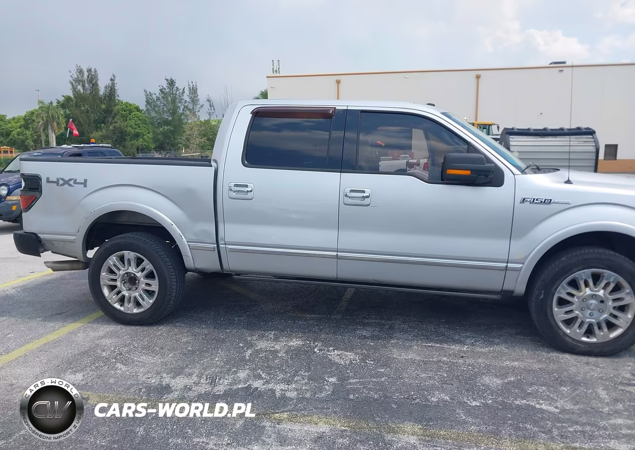 2009 Ford F-150 Fx4-King Ranch-Lariat-Platinum-Xl-Xlt VIN:1FTPW14V19FA97972 - 6