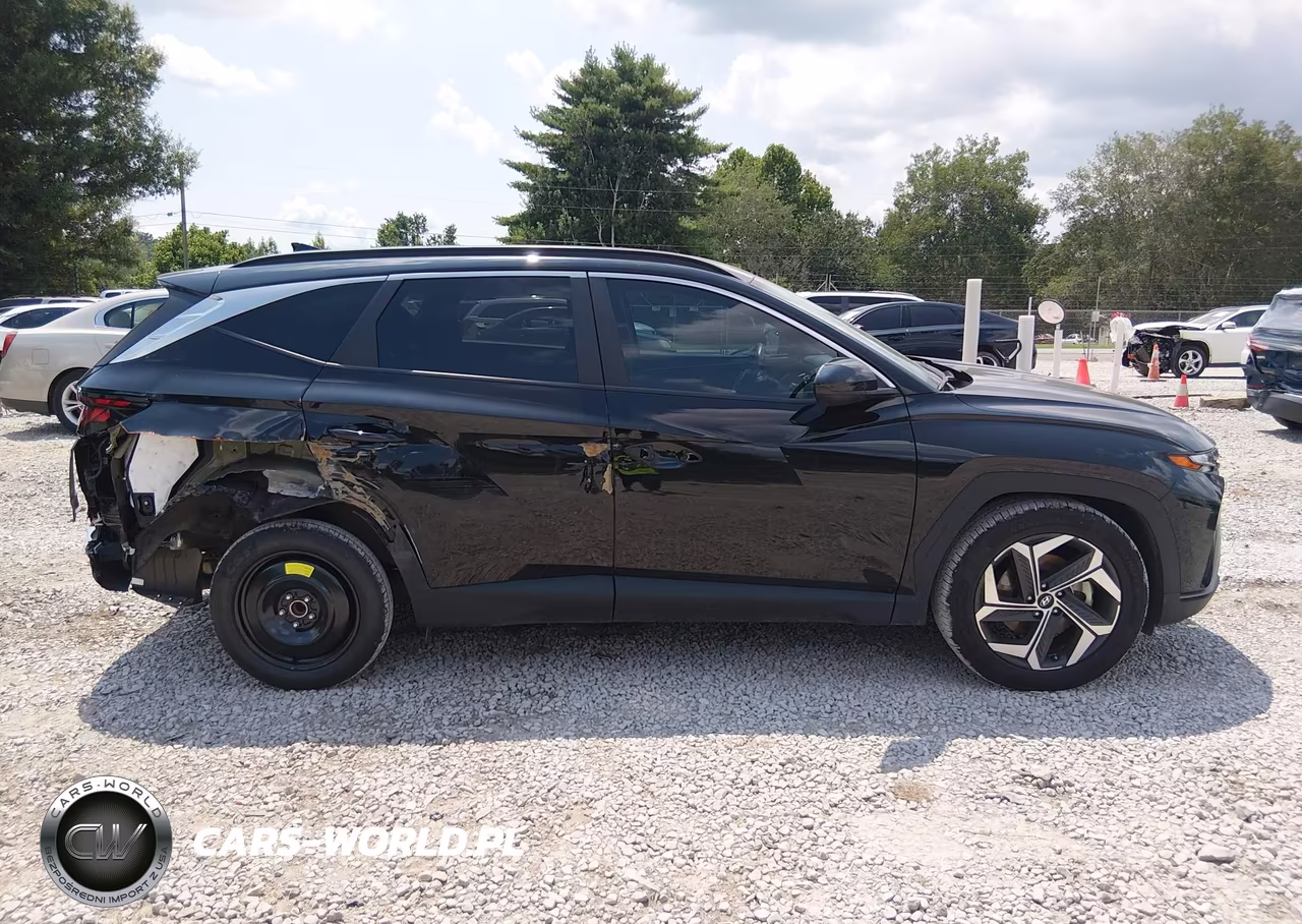 2024 Hyundai Tucson Sel VIN:5NMJB3DE6RH429226 - 13