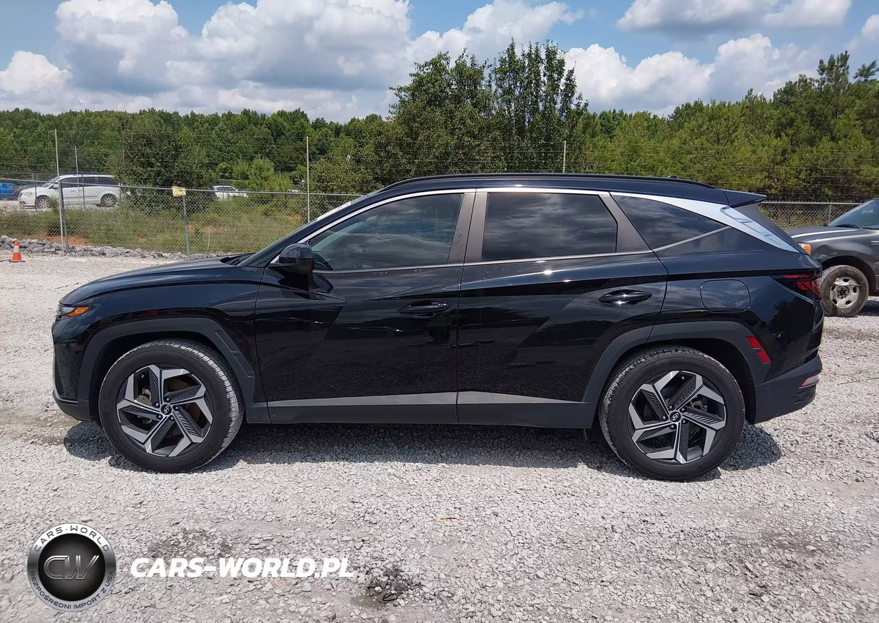 2024 Hyundai Tucson Sel VIN:5NMJB3DE6RH429226 - 14