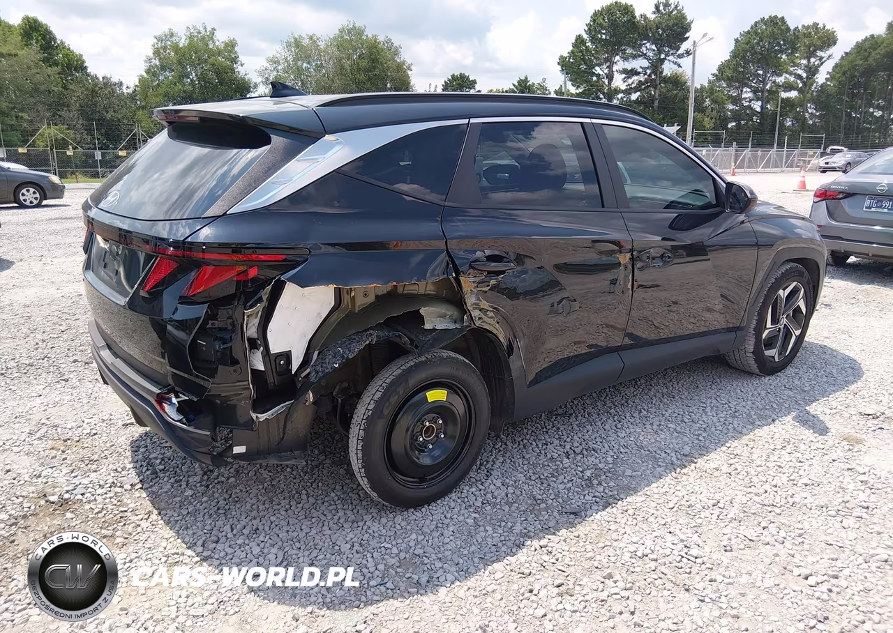 2024 Hyundai Tucson Sel VIN:5NMJB3DE6RH429226 - 4
