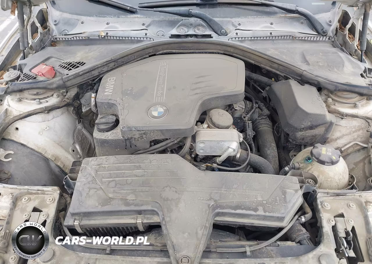 2015 BMW 320I VIN:WBA3B1G52FNT07905 - 10