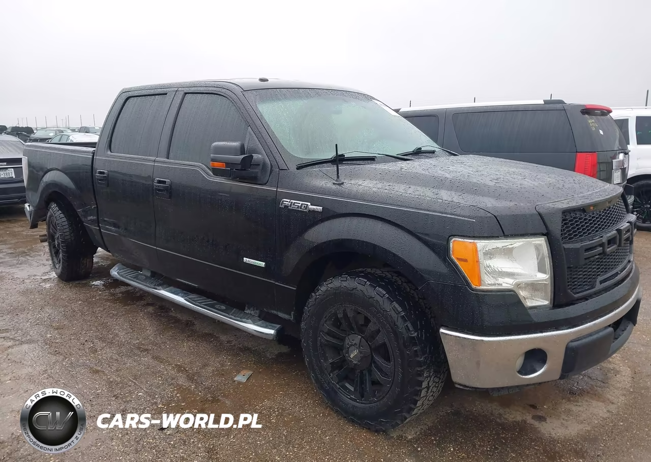 2013 Ford F-150 Xlt – zdjęcie 1 z 16